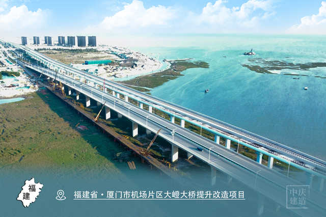 福建省·厦门市机场片区大蹬大桥提升改造项目_副本.jpg